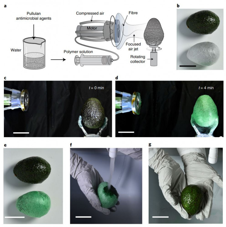 生物基包装